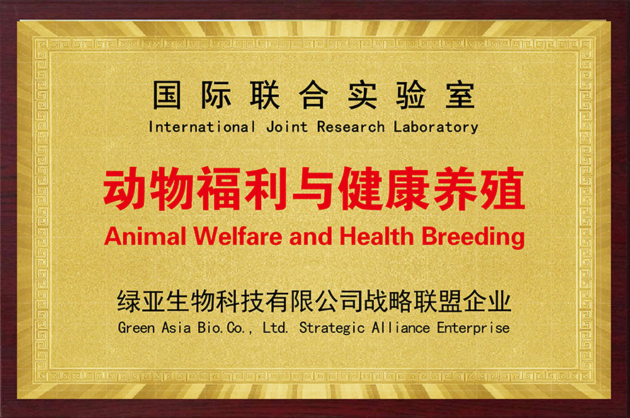 动物福利与健康养殖.jpg