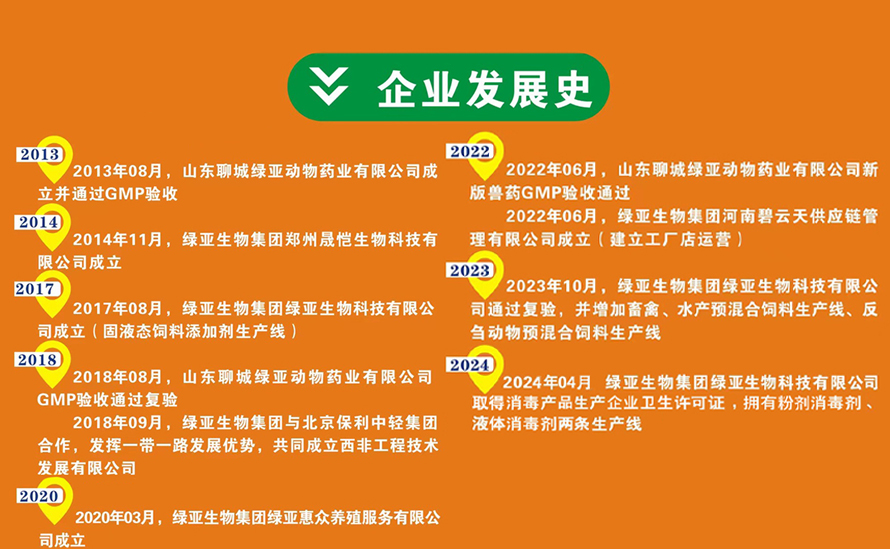 2企业发展史.jpg